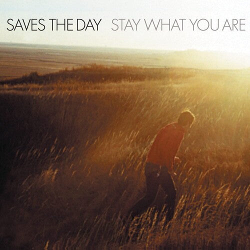 Saves the Day: Stay What You Are
