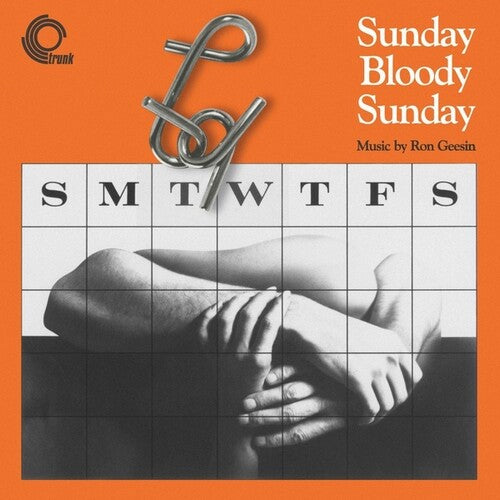 Geesin, Ron: Sunday Bloody Sunday