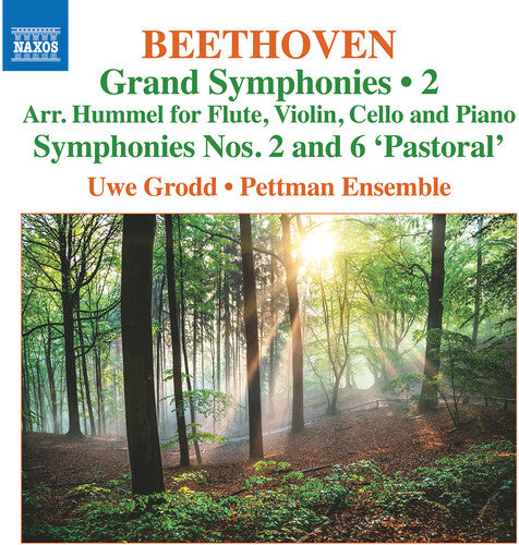 Beethoven / Grodd / Pettman Ensemble: Grand Symphonies Vol 2 - Nos 2 & 6