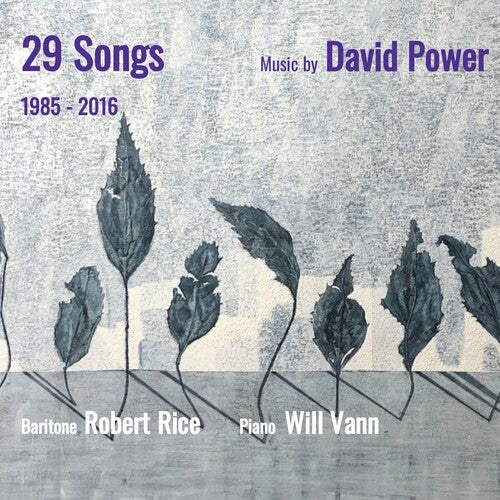 Rice, Robert / Vann, William: 29 Songs: Music By David Power 1985-2016