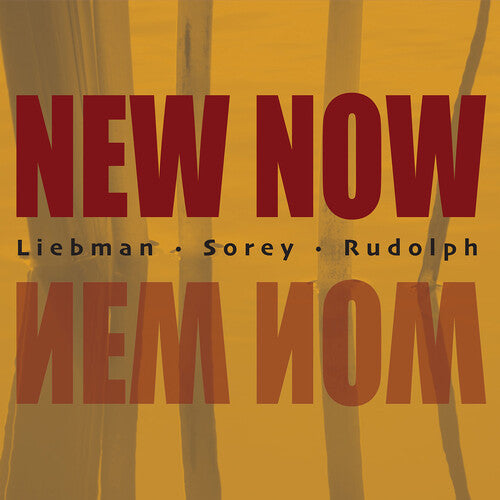 Liebman, Dave / Rudolph, Adam / Sorey, Tyshawn: New Now