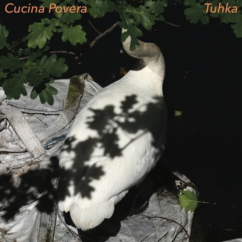 Cucina Povera: Tuhka