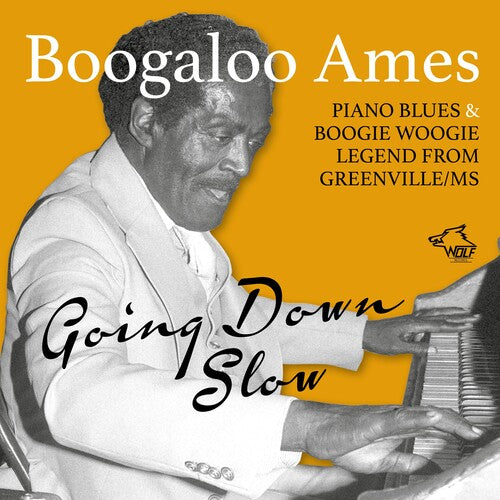 Boogaloo, Ames: Going Down Slow