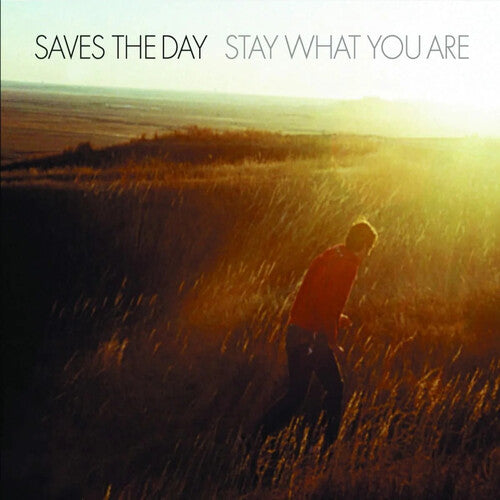 Saves the Day: Stay What You Are - 10-Inch Vinyl
