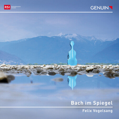 Bach / Vogelsang: Bach im Spiegel