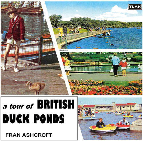 Ashcroft, Fran: A Tour Of British Duck Ponds