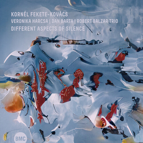 Kovacs, Kornel Fekete / Harcsa, Veronika: Different Aspects Of Silence