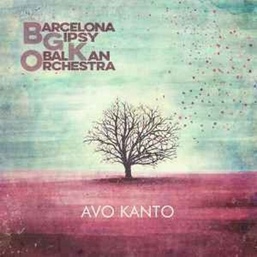 BGKO: Avo Kanto