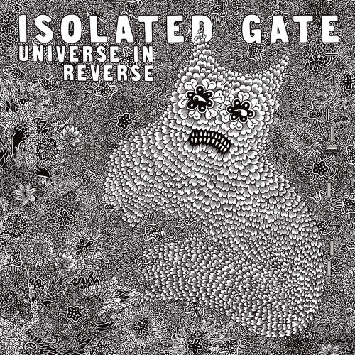 Isolated Gate: Universe In Reverse