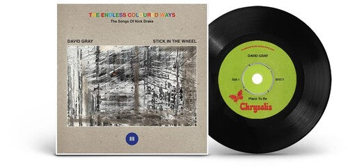 Gray, David: The Endless Coloured Ways: The Songs of Nick Drake - David Gray