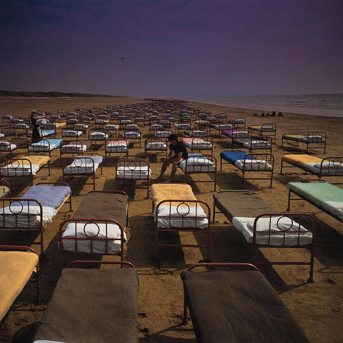 Pink Floyd: Momentary Lapse Of Reason