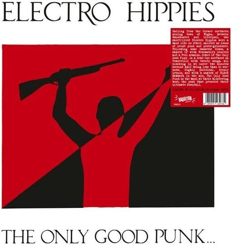 Electro Hippies: The Only Good Punk Is A Dead One