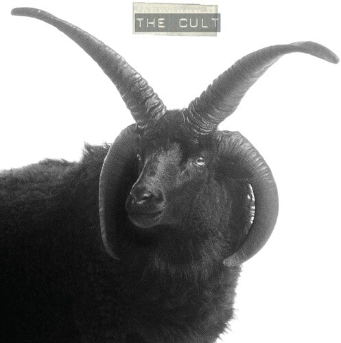 Cult: The Cult