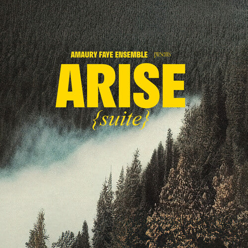 Faye, Amaury Ensemble: Arise (suite)