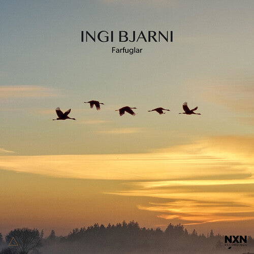 Skulason, Ingi Bjarni: Farfuglar