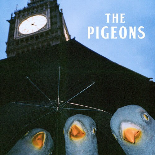 Pigeons: Bird Brain Gang