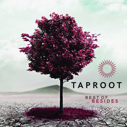 Taproot: Best Of Besides