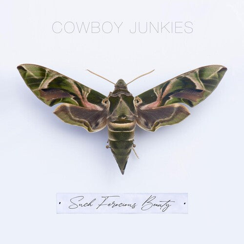 Cowboy Junkies: Such Ferocious Beauty