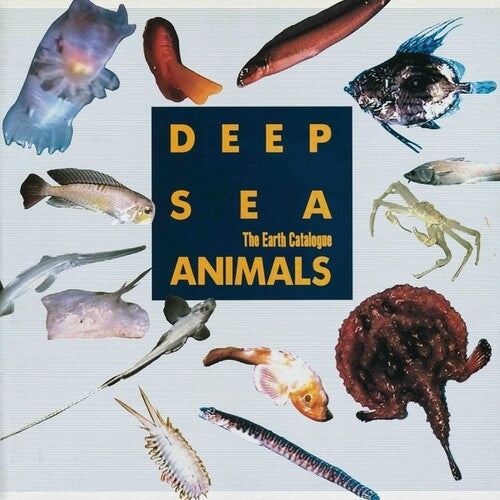 Deep Sea Animals / Various: Deep Sea Animals