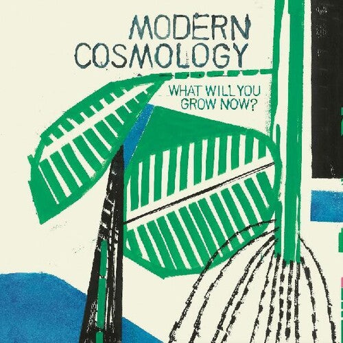 Modern Cosmology: What Will You Grow Now?