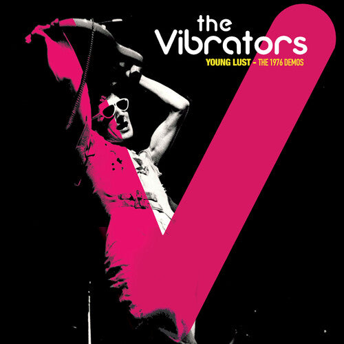 Vibrators: Demos 1976