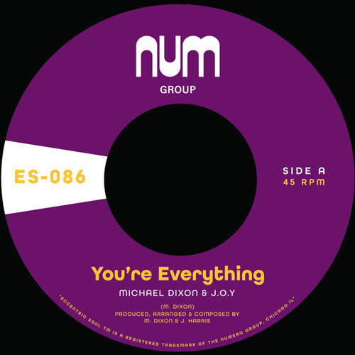 Dixon, Michael a. & J.O.Y.: You're Everything B/w You're All I Need - Purple