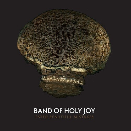 Band of Holy Joy: Fated Beautiful Mistakes