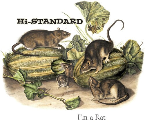 Hi-Standard: I'm A Rat