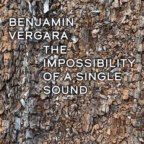 Vergara, Benjamin: The Impossibilty Of A Single Sound