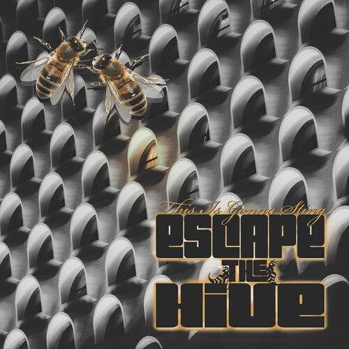 Escape the Hive: This Is Gonna Sting