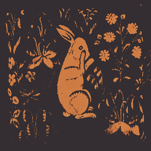 Sadness: Rabbit Album