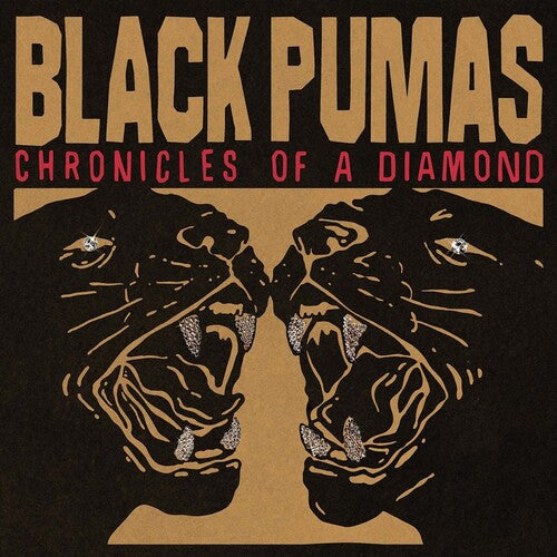 Black Pumas: Chronicles Of A Diamond