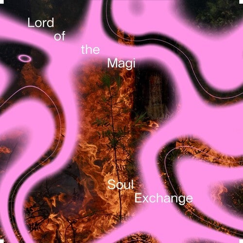 Lord of the Magi: Soul Exchange