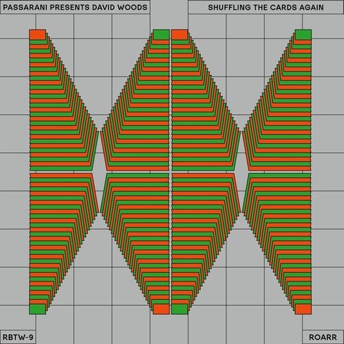 Passarani, David / Presents Woods: Shuffling The Cards Again