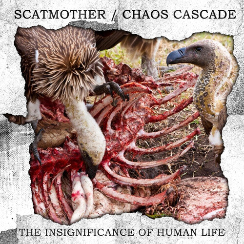 Scatmother & Chaos Cascade: The Insignificance Of Human Life