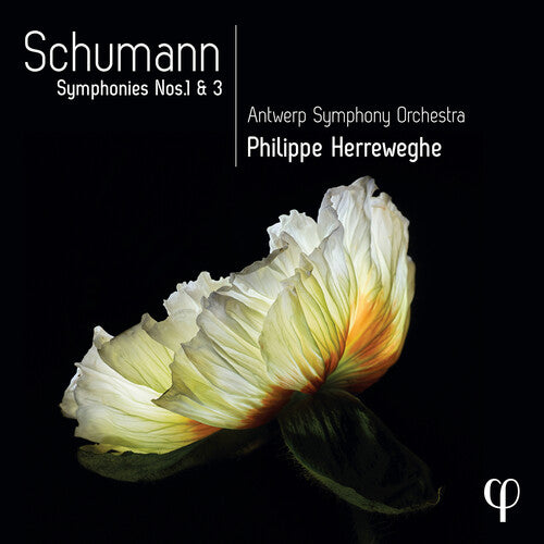 Schumann / Herreweghe / Antwerp Symphony Orch: Symphonies Nos. 1 & 3