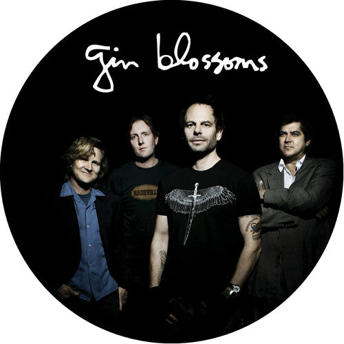 Gin Blossoms: Live In Concert