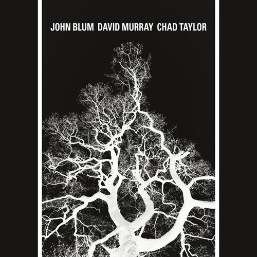 Blum, John: The Recursive Tree