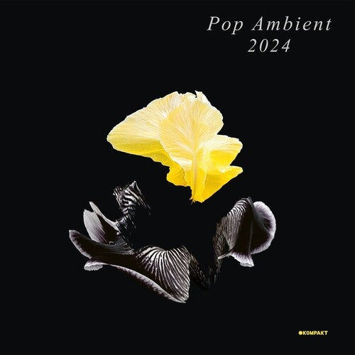 Pop Ambient 2024 / Various: Pop Ambient 2024