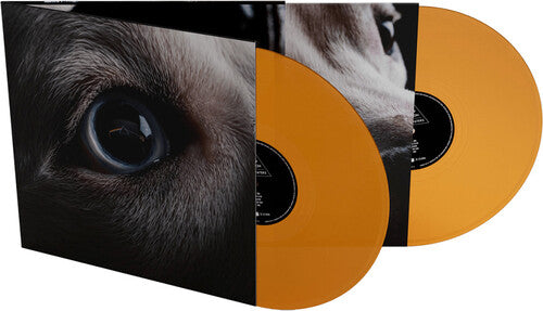 Waters, Roger: The Dark Side Of The Moon Redux - Limited Orange Vinyl