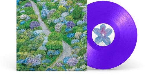 Fiddlehead: Between The Richness - Violet Colored Vinyl