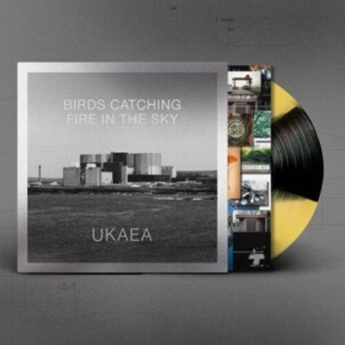 Ukaea: Birds Catching Fire In The Sky - Yellow & Black Vinyl