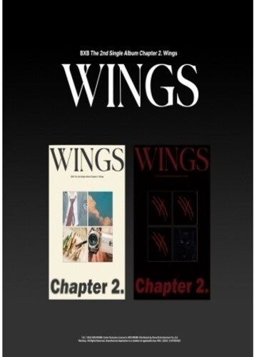 BXB: Wings - Chapter 2 - incl. 60pg Booklet, 2 Photocards, Letter + Ticket