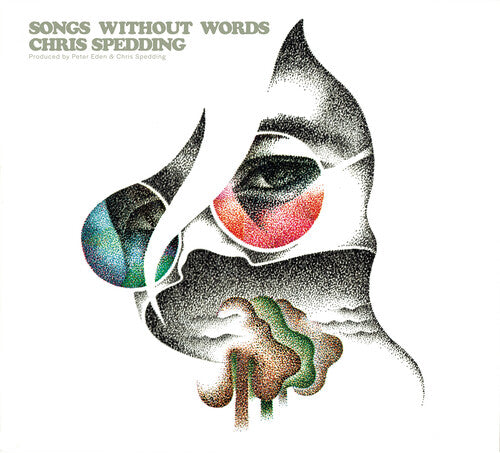 Spedding, Chris: Songs Without Words - Remastered Edition