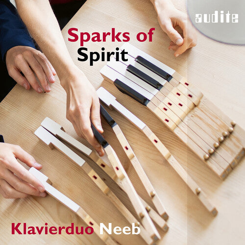 Bach, J.S. / Rachmaninoff / Neeb: J.S. Bach, Rachmaninoff, Reger & Schubert: Sparks of Spirit