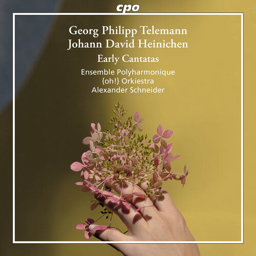 Heinichen / Telemann / Ensemble Polyharmonique: Heinichen & Telemann: Early Cantatas