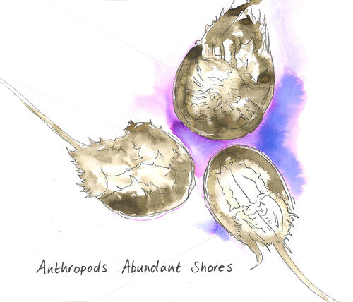 Anthropods: Abundant Shores