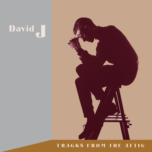 David J: Tracks From The Attic