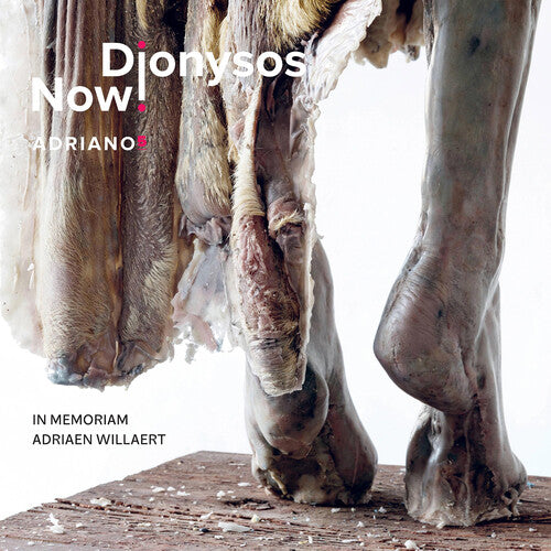 Dionysos Now: Adriano 5