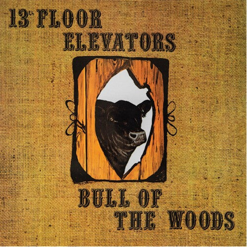 13th Floor Elevators: Bull Of The Woods